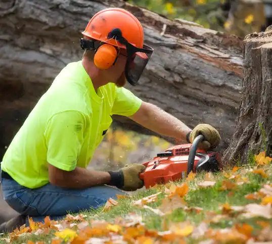 tree services Hazard